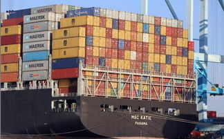 哈萨克斯坦猪肉与越南管材有望进入中国市场，区域经贸合作迎新机遇